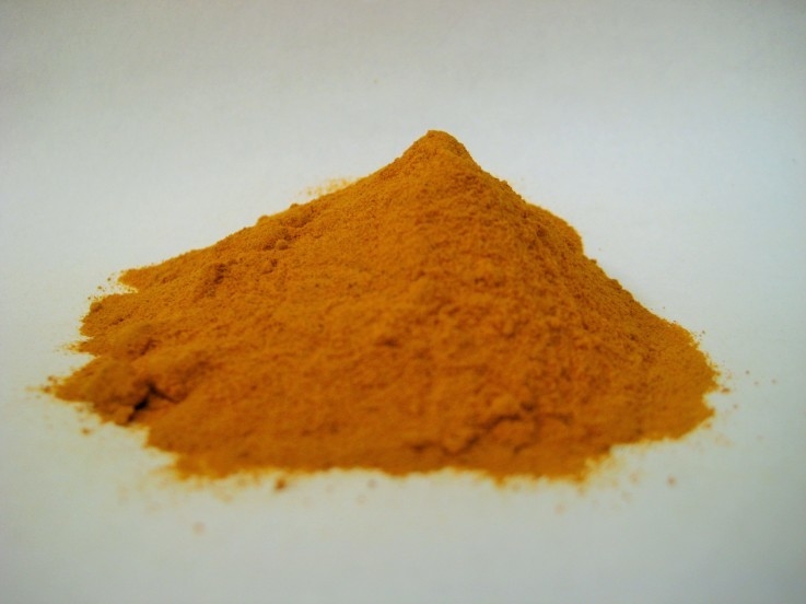 Turmeric Ground [550g] Bradleys